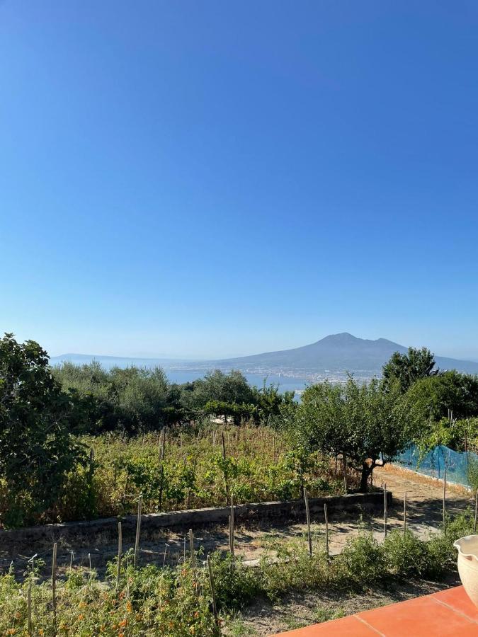 Palipano House Villa Pimonte Exterior photo